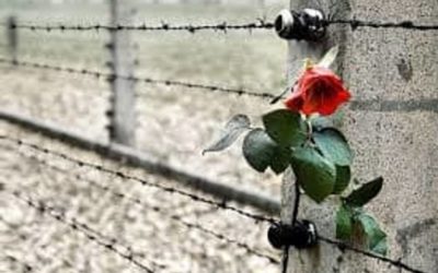 27 gennaio “Giorno della memoria” in Frassati, le parole degli studenti